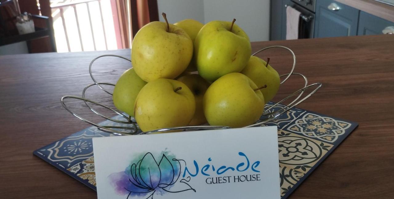 Vista Lago Lecco - Neiade Guest House 페스카테 외부 사진